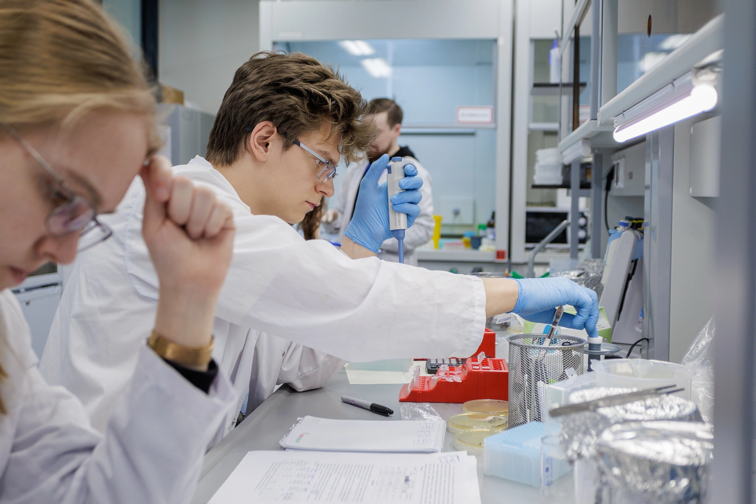 Утверждён список профилей НТО для студентов