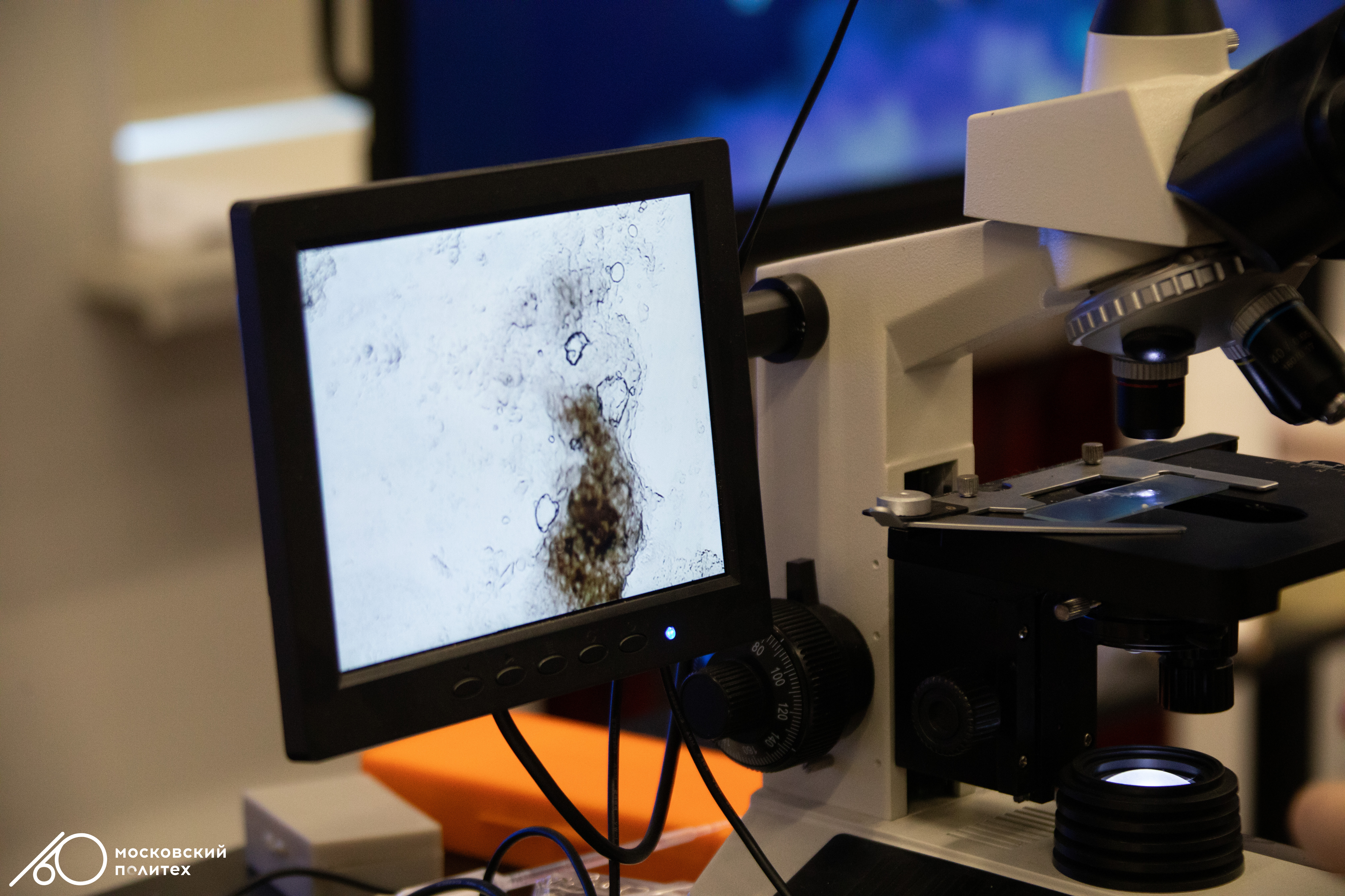 Инженерные биологические системы6